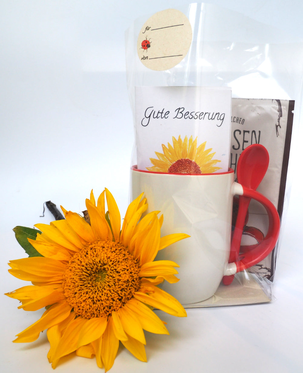 Tassenkuchen-Geschenkset "Gute Besserung"